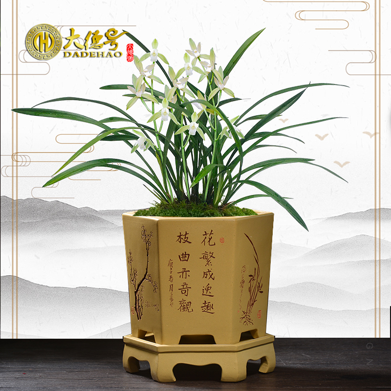 Greatness, yixing purple sand pottery and porcelain breathable hexagon with tray clivia butterfly orchid orchid blue grass special pot