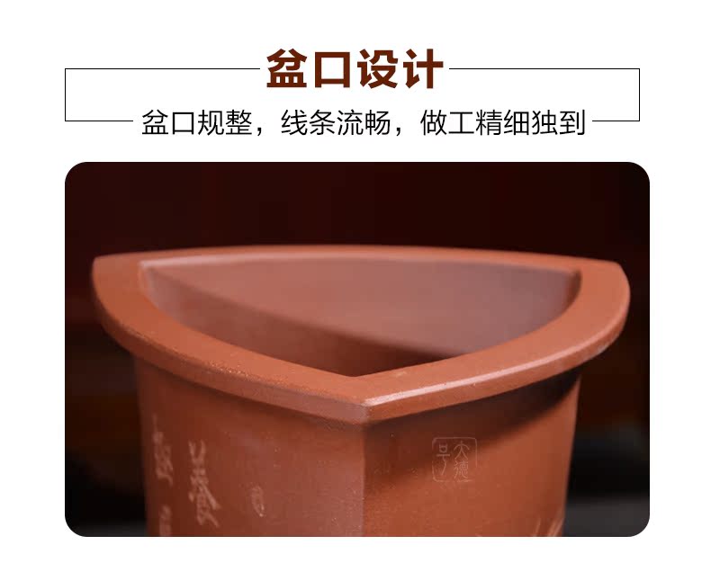 Greatness, yixing ceramic purple very blue grass the plants breathe freely, the four seasons facilities. We chunlan special orchid flower POTS