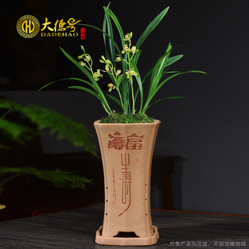 Greatness number gold period of sifang violet arenaceous mud very blue grass the plants four seasons facilities. We chunlan special orchid flower POTS