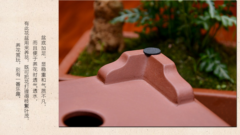 Greatness, yixing purple sand flowerpot high - quality goods with rectangular basin potted flowers rockery miniascape green plant