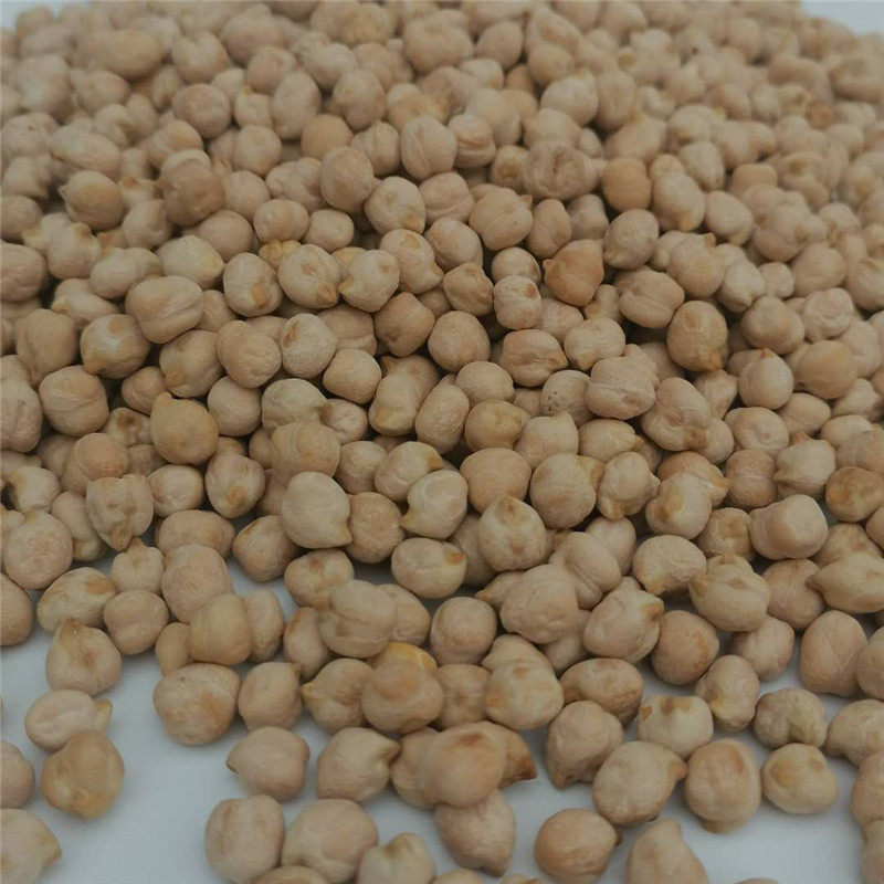 Total 2 catties Xinjiang Shipped raw chickpea wood softlett special-selection farmhouse pure peach bean big grain new stock