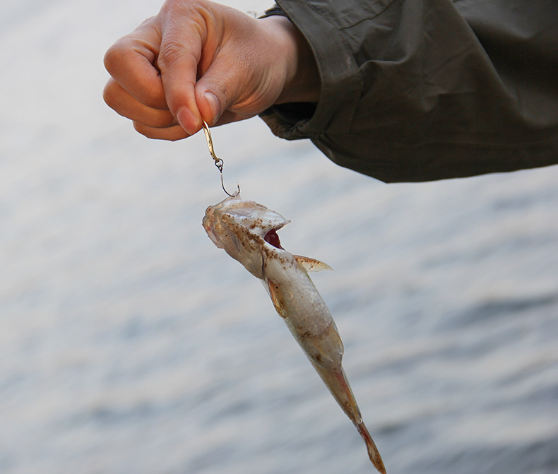 Fishing house 3 5g King Kong horse mouth sequins with barbed single hook Horse mouth white strip sequins Luya bait