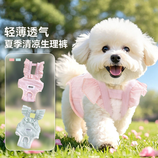 Pet Physiological Pants for Female Dogs during Their Period, Breathable, Urine-Proof, Thin Summer Style, Suitable for Small to Medium-Sized Dogs Like Teddy and Bichon