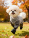 New Autumn and Winter Dog Dust-Proof Clothing, Outdoor Warm and Dirt-Proof Coveralls, Small Dog Puppies, Bichon Frize Warm Four-Legged Clothes