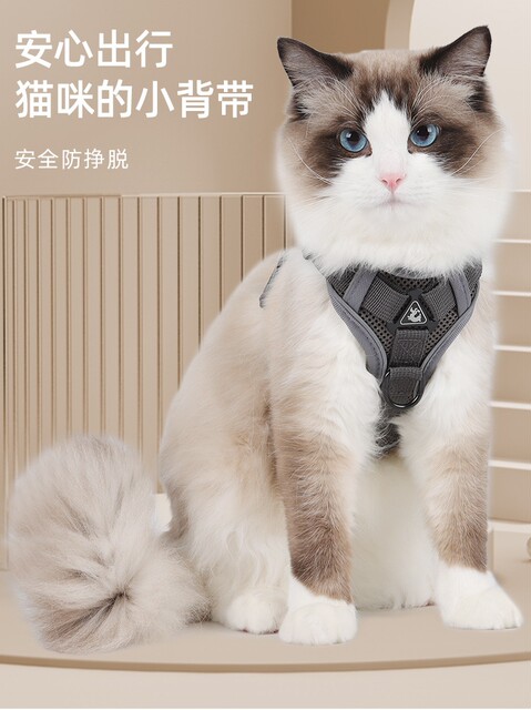 Cat Leash Vest-Style Anti-Escape Adjustable Harness for Walking Cats, Comfortable and Breathable Dog Leash