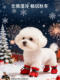 New Spring Festival Dog Shoes Pet Autumn and Winter Warm Cotton Shoes Small Dog Teddy Outdoor Anti-Dirt Shoe Covers