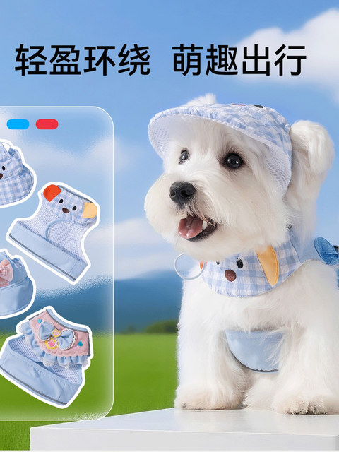 New Style Dog Leash with Hood for Small and Medium-Sized Dogs, Bichon Frise, Anti-Escape Saliva Bandana Harness, Dog Walking Leash