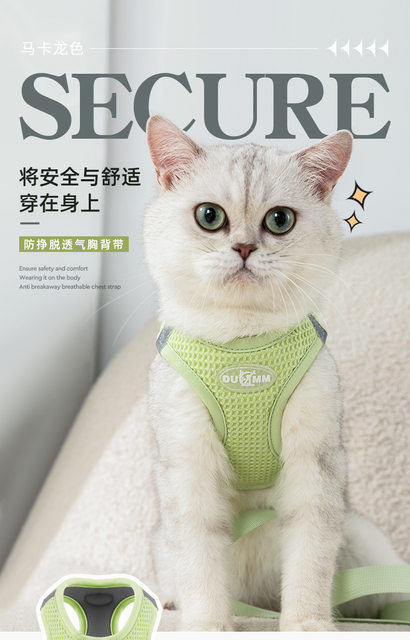 New cat traction rope to prevent break-away and go out, vest-style high-looking Velcro straps for small cats and cat walking ropes