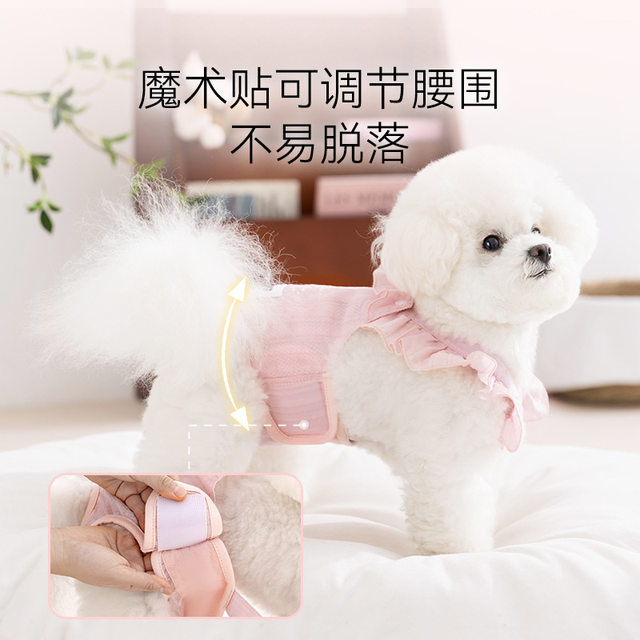 Pet Physiological Pants for Female Dogs during Their Period, Breathable, Urine-Proof, Thin Summer Style, Suitable for Small to Medium-Sized Dogs Like Teddy and Bichon