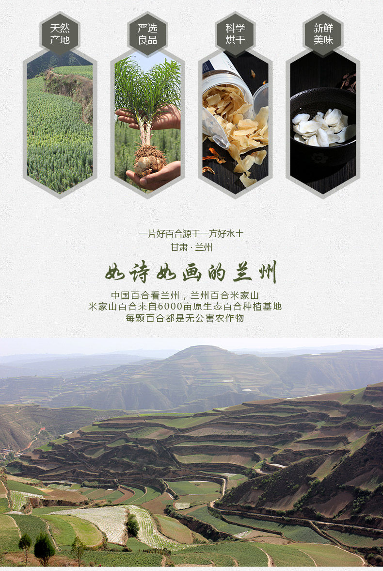 Special -Grade Lily_03.jpg