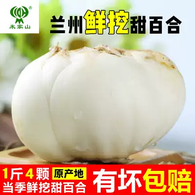 Lanzhou fresh lily 500g edible sweet lily farm specialty 1 jin 4 vacuum bags