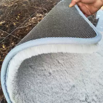 Imitation rabbit carpet roll cat sense living room bedroom large area full of tea table blanket bedside carpet high-end floor mat plush