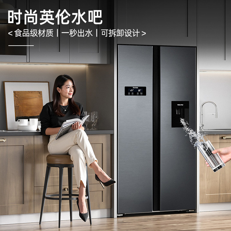 达米尼BCD-602WKSDW冰箱图片