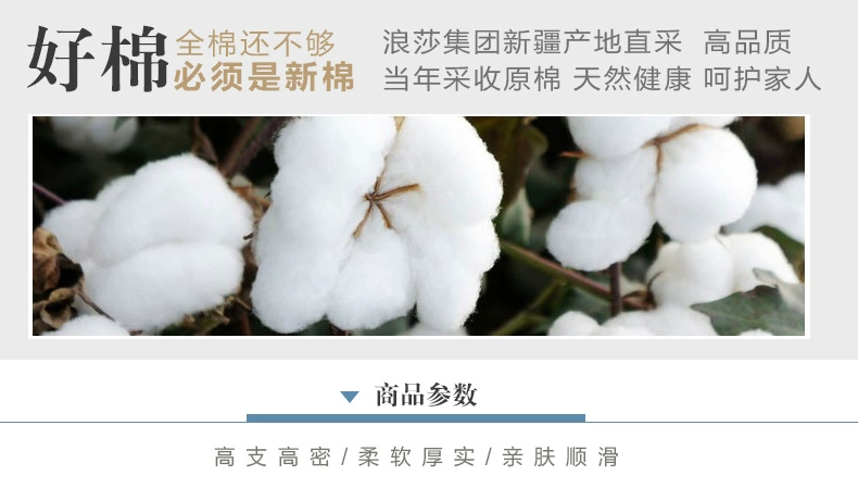 Langsha váy ngủ cotton nguyên chất bốn mảnh phù hợp với lưới màu đỏ công chúa phong cách cotton bộ đồ giường chăn ga trải giường 1,8m1,5 mét - Bộ đồ giường bốn mảnh