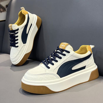 Autumn Men's Shoes 2025 New Niche Design Versatile Casual Sneakers Youth Thick-Soled Sports White Trendy Shoes