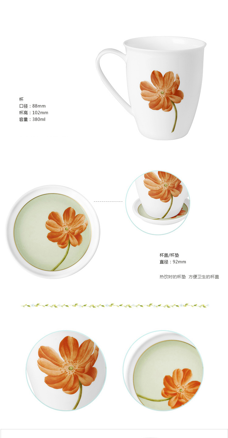 HAENGNAM Han Guoxing south China cosmos with cover ipads porcelain cup/filter cup keller glair