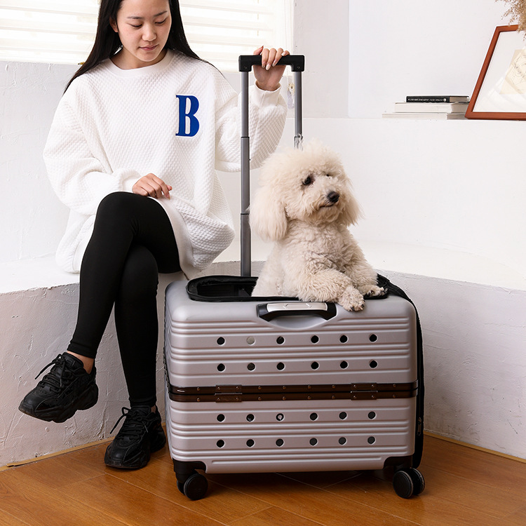 Large-capacity large pet space flight dog go out portable bag trolley case Teddy cart cat suitcase