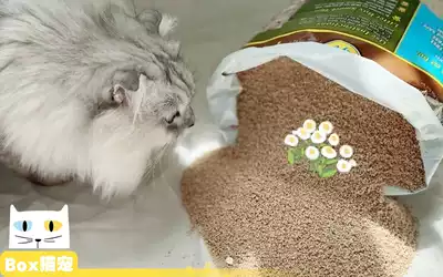 SmartCat Mega cat litter clumps dust-free cat sand sorghum sand harmless pollution 10 pounds 4 54kg 20 pounds