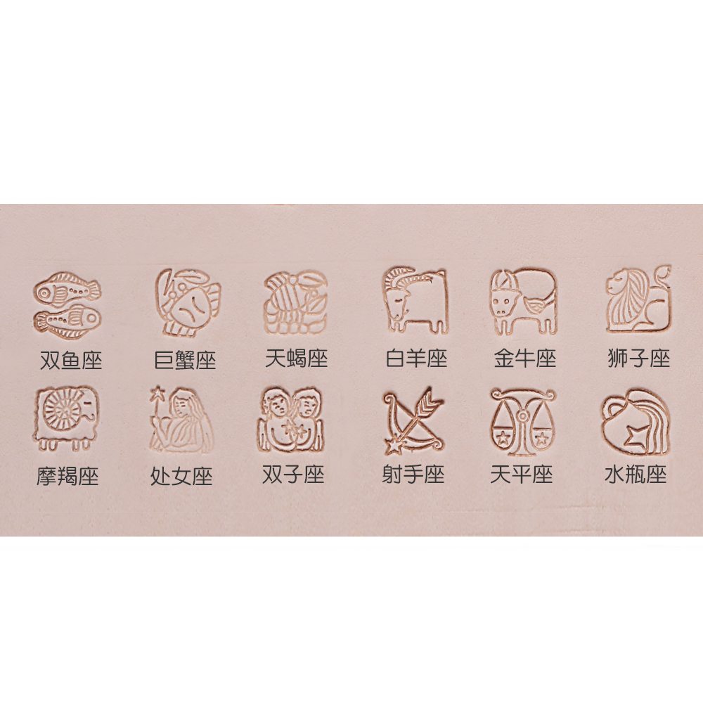 Leather diy printing tool set 12 constellation pattern leather Tang grass flower punch leather carved pattern print punch