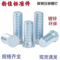 Riveting screws pressure riveting screws pressure plates screws pressure plates environmental protection blue and white zinc M6 * 8mm-40mm