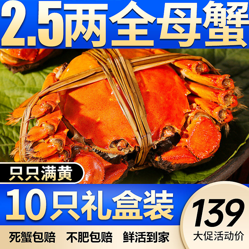 蟹宗 全母大闸蟹 2.5两*10只礼盒装 天猫优惠券折后￥99包邮（￥139-40）