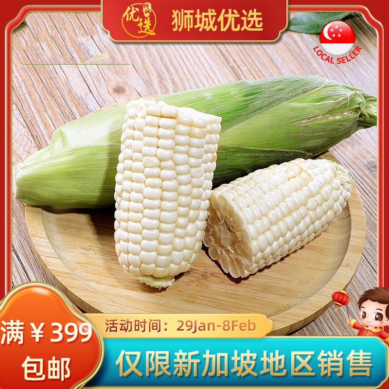 (Vegetable) Cameron white corn 1 piece local shipment from Singapore