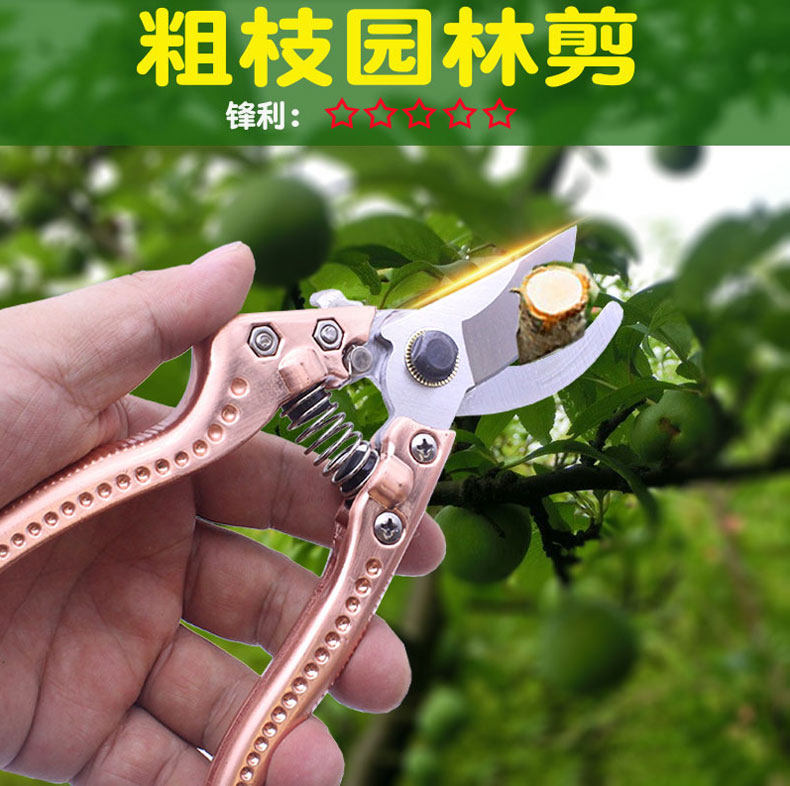 园林剪刀枝剪弹簧剪园艺剪刀果树修枝茶树剪子树枝专用修花大剪刀-阿里巴巴