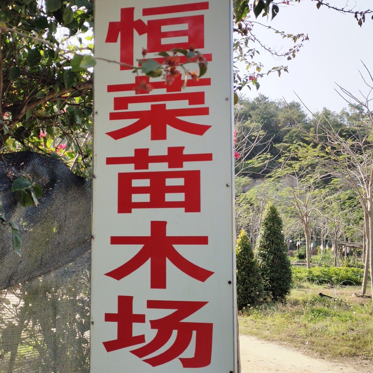 恒荣苗木场的LOGO