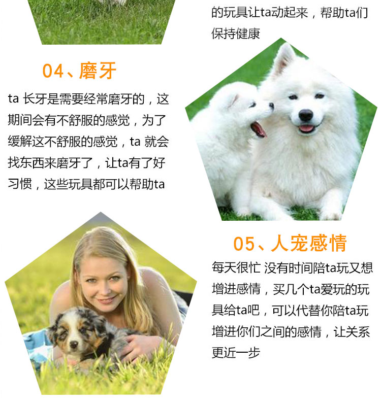 Pet vocal toy pet mouse vocal cat and dog toy vocal toy hot cat toy xương đồ chơi cho chó