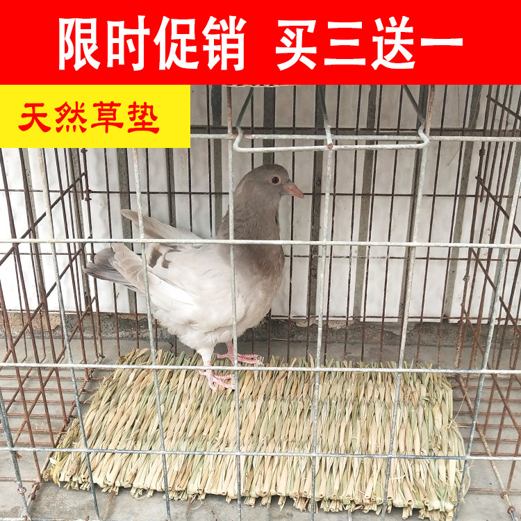 Carrier pigeon foot pad supplies bird's nest straw pigeon nest grass nest pad hand-woven breeding special nest pot for hatching eggs