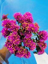 Yunnan Kunming flowers express red flowers fresh cut flowers business flowers wedding flowers for sale