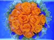 Witchcraft Rose Orange Red (a tie) Yunnan Kunming Flower Express