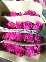 New product listing Huaguiren oversized rose Birthday love flowers Yunnan Kunming base flower express