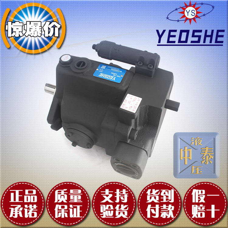 Taiwan imported piston pump V15A1R10X V15A2R10X V15A3R10X V15A4R10X