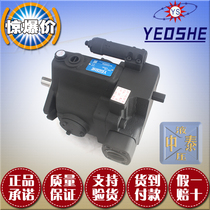 Taiwan Import plunger pump V15A1R10X V15A2R10X V15A3R10X V15A4R10X