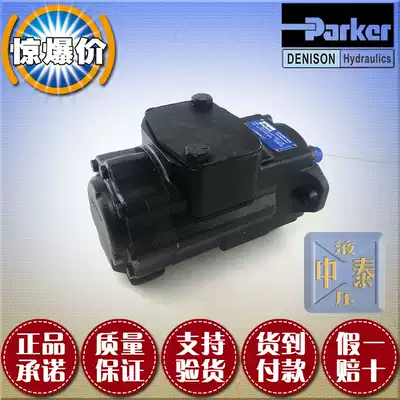 DENISON vane pump DENISON T6CC-012-003 005 006 008 010- 1R01-C100