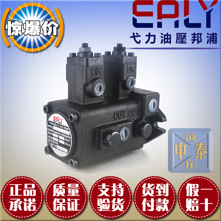 Oil Pump EALY Oil Pump VVPE-F20B-F20B-10 Hydraulic Pump in Taiwan