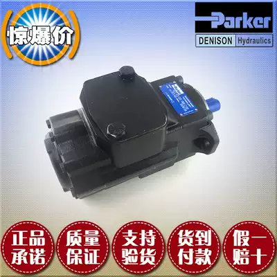 Denison vane pump T6DC-050-003 005 006 008 010 012 014- 1R00-B1