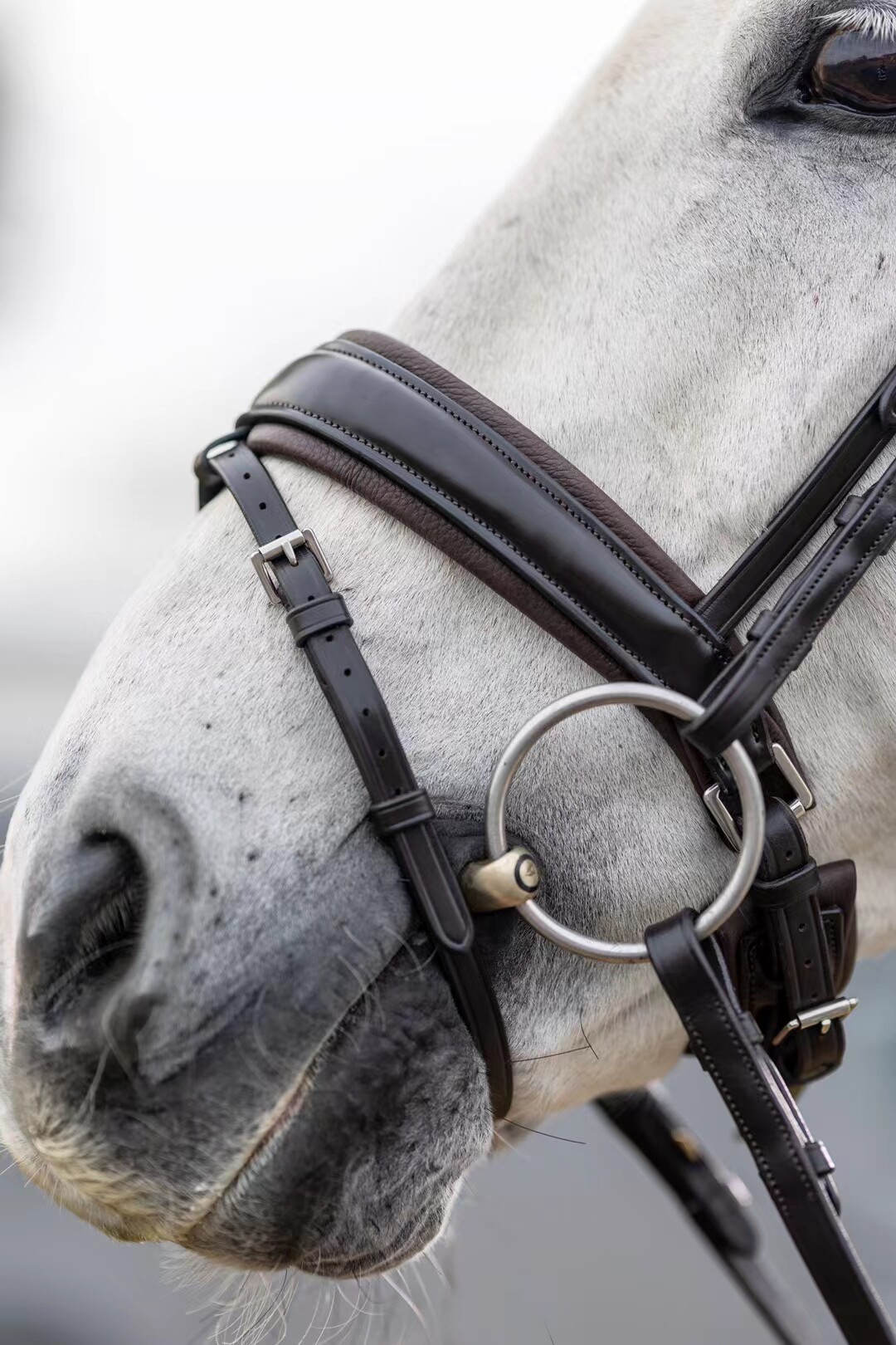 英式马术标配 🐎 英国LeMieux马匹水勒马术马具-水勒缰水勒-淘宝好物网