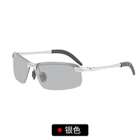 (Отправить мешок для ткани) Серебряная рама поляризационной поляризация изменений