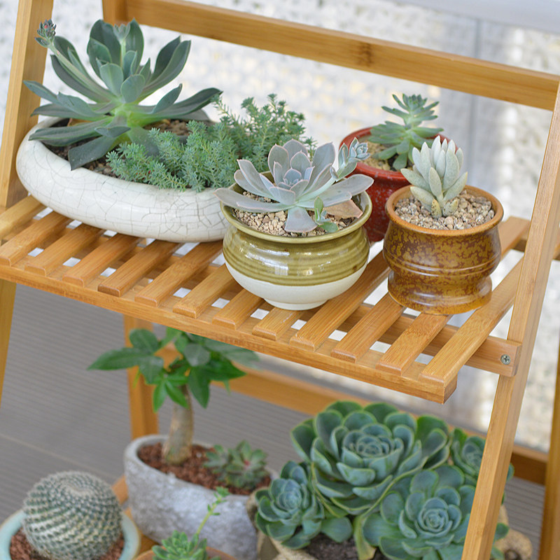 ľ��������ʵľ����ػ����NZHJ050