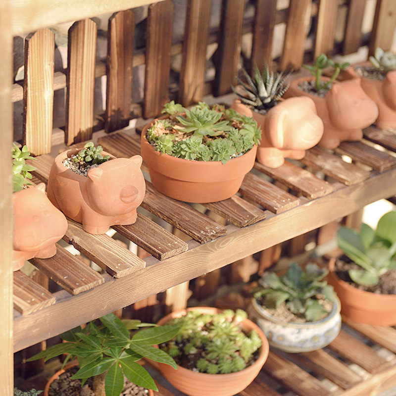 ľ����ʵľ��㻨����ZLHJ001