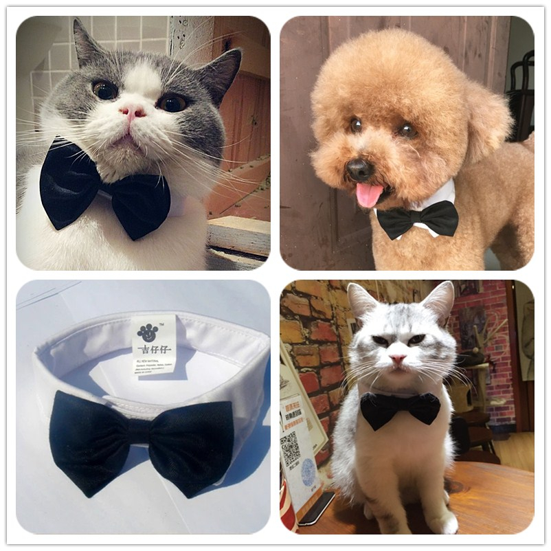 Teddy Collar Pet Bow Tie Black Gentleman Bow Tie Dog Bow Tie Bichon Bow Tie Cat Tie Decorations