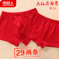 Antarctic childrens original year underwear boys red underwear cotton boxer underwear cotton boxer underwear middle child 12 years old is the year of the Ox