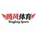 腾风体育的LOGO