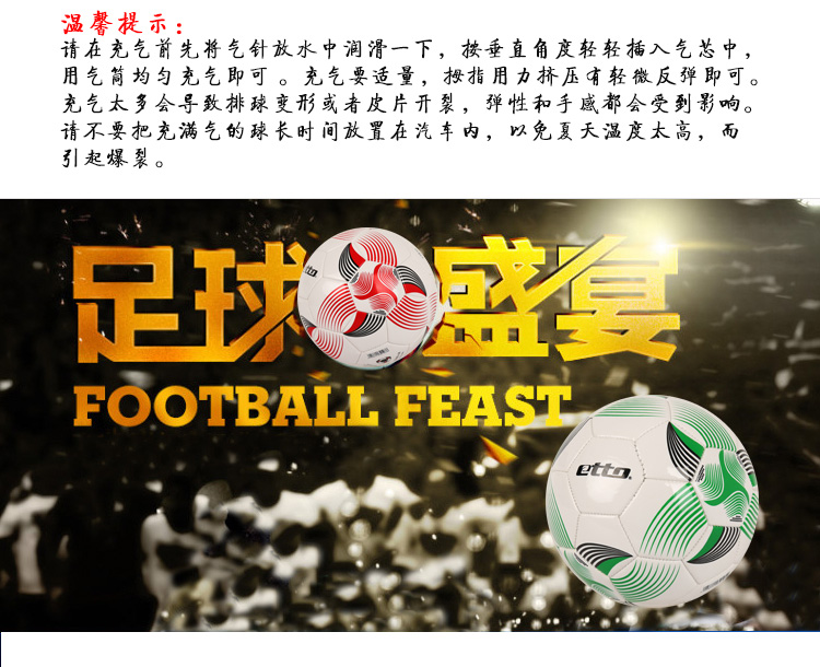 Ballon de football - Ref 7432 Image 9