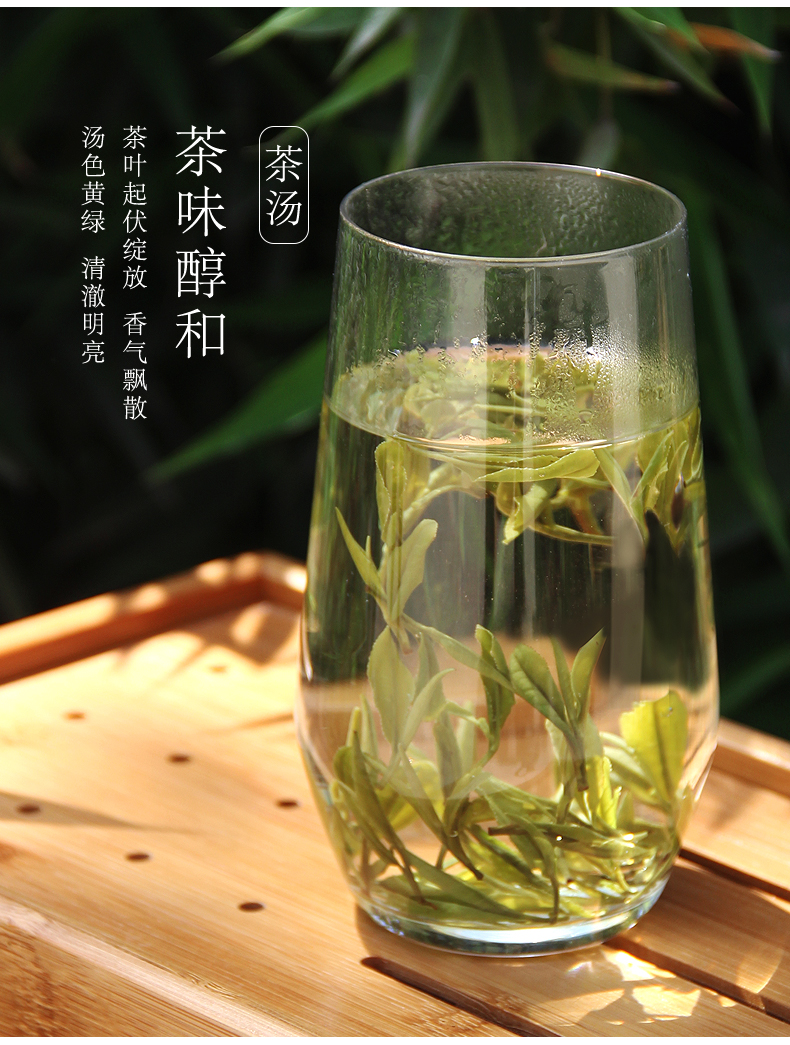 国家地理标志产品 抱儿钟秀  一级霍山黄芽 250g 图2