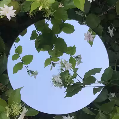 Net red photo props glass mirror oval bathroom mirror non-perforated wall Wall Wall self-adhesive toilet home