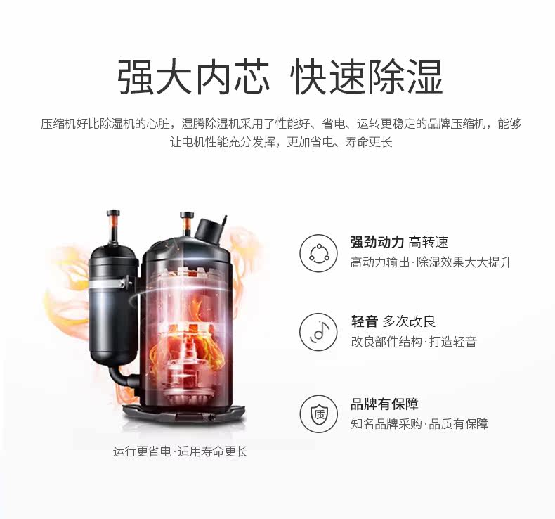 GST-T26_05.jpg