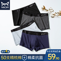 Cat man mens underwear mens Xinjiang cotton boxer antibacterial breathable summer thin cotton youth flat corner pants